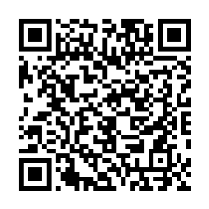 右手拖动鼠标在眼前的电子地图上重重的画出了一个红圈二维码生成