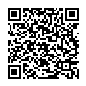 叶凡很是完美的演绎了一个惊吓过度的男生的一幕二维码生成