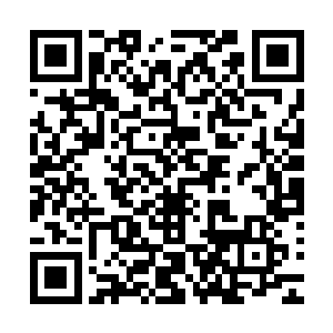 各位长老甚至都把龙皇神殿在龙皇城的神风殿都卖给了娲皇宫二维码生成