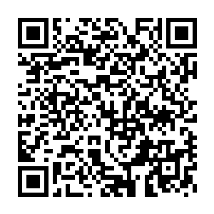 同时也验证了一件事――指南并不承认他刚才用大蓟汁液加血粉的配方二维码生成