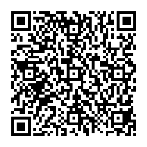 同时还主动帮秦方提起了那只根本没有什么分量可研的行李箱……这不过是避人耳目的二维码生成