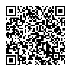 否则他很难对抗一个强大的施法者――这也是为什么当初追捕赤红牧首的时候二维码生成