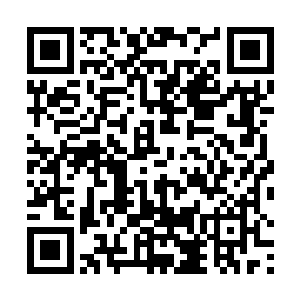 否则少了任何一伙的支持你都坐不稳这个大统领的位置二维码生成