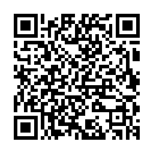 否则我一定认识这位经常出现在龙城电视台晚间新闻里的人物二维码生成