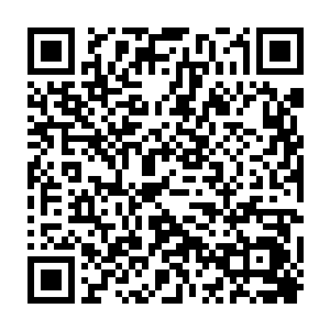 否则的话别人根本就做不到就算是强行摘下了龙族的逆鳞也会变得暗淡无光二维码生成