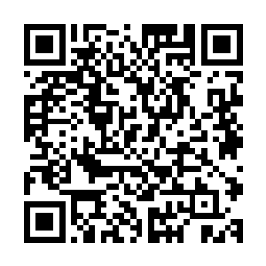 和以柯南为代表的晨星公司因为给养问补充问题导致矛盾激化二维码生成