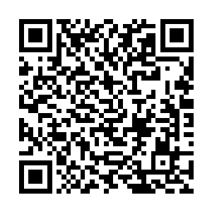 和无数的黑色流光和黑暗手掌顷刻间发出猛烈的撞击二维码生成