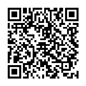 和现代的电子计算机建立在冯*诺伊曼结构基础上不同二维码生成