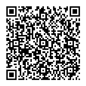 咱们从泰坦一族那个蠢材身体上得到的那一丝雷霆本源之力说不定还没有办法弥补的了他的本源呢二维码生成