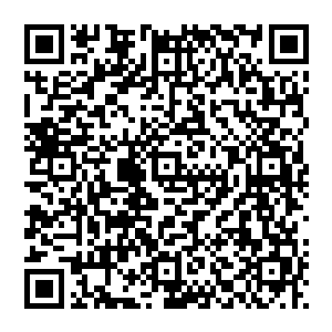 咱们知府大人…………以兴建学堂的名义…………可是把商户们给害惨了……要不是听说钦差现在就在开封二维码生成