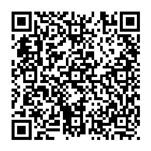 哈哈哈……他只是一个小小的仙皇……哈哈哈……这个世界上还真的有人和你长得一模一样二维码生成