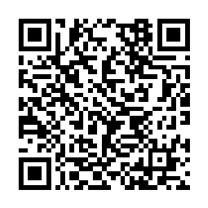 哪怕这样会对你的某些罕见特质造成不可修复损伤二维码生成