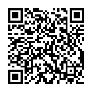 唯一制约他们的或许还是极低的生育率和漫长的成长期二维码生成