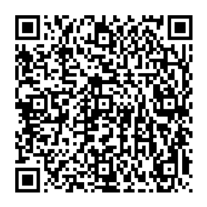 噜啦啦噜啦啦噜啦啦咧噜啦啦噜啦啦噜啦啦……我爱洗澡乌龟跌倒么么么么小心跳蚤好多泡泡……二维码生成