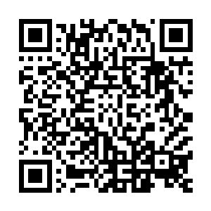 因为他们也不确定他们的族长和许紫烟他们是否是真的出事了二维码生成