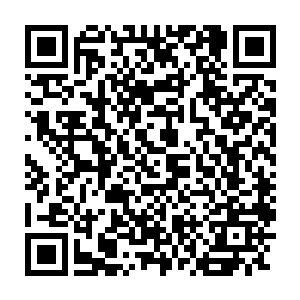 因为他们根本不知道这巨人族的炼体液和他们知道的炼体液有什么不同二维码生成