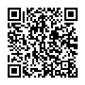 因为他现在已经是不确定那青衣男子说的话是真不是真的了二维码生成