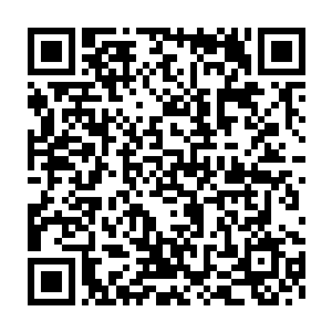 因为家里面的两位小祖宗对于这几只狗可真的是宝贝到了一定的程度二维码生成