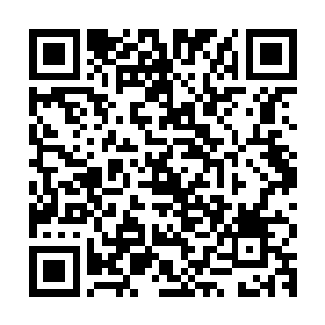 因为贝海到现在就放过两拨其中的一拨还是今天刚放到海水里的二维码生成