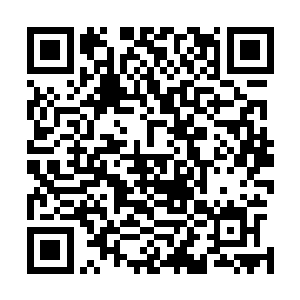 因为这灵药的效果刚起效时是会对人体产生一定程度的反馈二维码生成