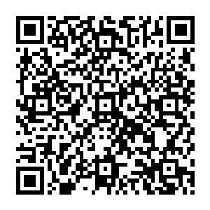 因为那次的突破是森林中旺盛的生命之力将众人经脉中淤积的杂质尽数冲刷干净逼出体外二维码生成