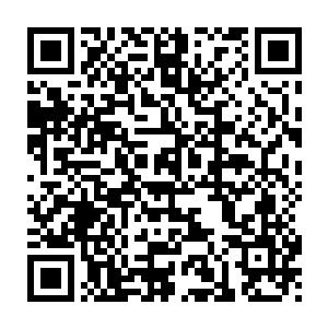 因为高等境界的突破实在太难了和低等境界的突破根本就是两个概念二维码生成