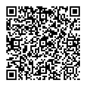 国 国国 国 国 国 国 国 国 国 国二维码生成