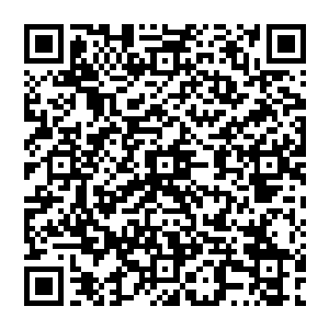 国 国国 国 国国国国国国国 国 国 国 国 国二维码生成