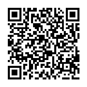 国内第一大家族的地位也不一定就会是我轩辕家族地二维码生成