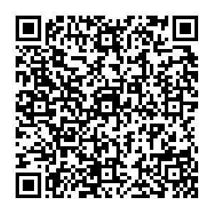 国国国 国国国国国国国国 国 国 国 国 国二维码生成