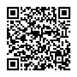 在他们死后在他们的肚子里就会冒出一只新的来二维码生成