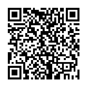 在候诊厅的墙壁上也挂着一排排写有门诊医生介绍的牌子二维码生成