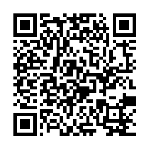 在刚才和珍妮弗的交谈之后――这当然是另一回事了二维码生成