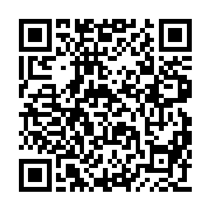 在大精灵王年轻时使用的传奇武器凶狠的攻击下二维码生成