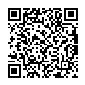 在存储通用粒子方程符纹和粒子方程模板的硬件上面二维码生成