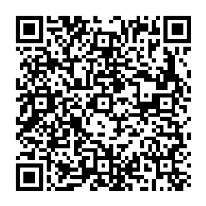 在本质上你哥的表现和你们所谓的我想要利用甄家调回来的情形又有多大的七~3u7我的忠告你二维码生成