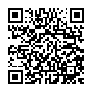 在林佳浔的纯真可爱形象衬托下简直把夏天萌衬托成了不知廉耻二维码生成