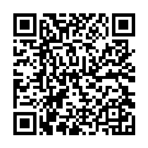 在森林外等候的世凤和墨麒听到森林里传来的兽吼声二维码生成