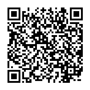在正常世界中贝海听到最多的变异一大半都是和核污染联系在一起的二维码生成