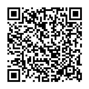 在研中的绝密验证型喷气式战斗机米格―9和将要装备的螺旋桨米格―10战斗机二维码生成