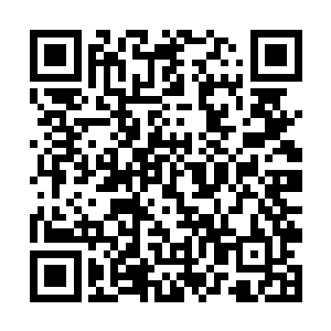 在这无尽的海底之中其实也无时无刻不再进行这运动二维码生成