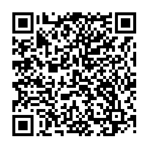 在这里我代表冰熊巨城的所有人感谢各位在五年内为冰熊巨城所做的一切了二维码生成