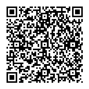 在m国的总统在欧洲访问时还在苦苦的思索着怎么面对欧洲记者们关于他们国内发生如此大规模斗殴二维码生成