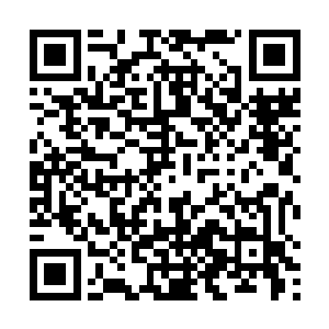 基本上可以确定在第一男子军校六年里可以横行无忧了二维码生成