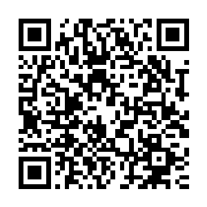 基础编写符文也没有丝毫兼容之处的信息交互和数据处理体系二维码生成