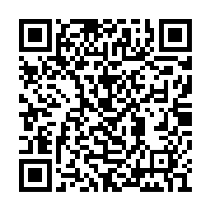 塞隆女神的机械手设计和短发造型也是极其赞的二维码生成