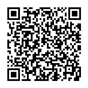 墨修尧有趣的看着墨景黎仿佛被火烧着了的猫一般急躁的愤怒的模样二维码生成