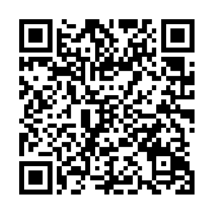 夏云杰当年在玄门大会上曾与大脚仙卢臻和无名剑仙结拜过二维码生成