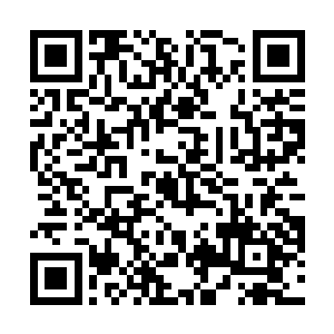 大家都对污蔑和攻击华夏中医代表团的行为表达了歉意二维码生成