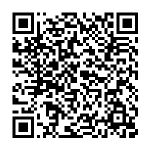 大荒门门派之内和门派附近的一个集镇上的数万普通弟子和普通人二维码生成